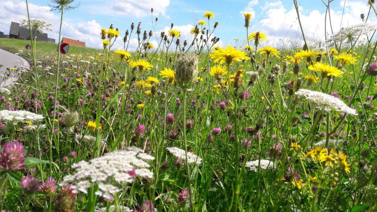 Gemuetliches Haeuschen Im Alten Land Jork Extérieur photo