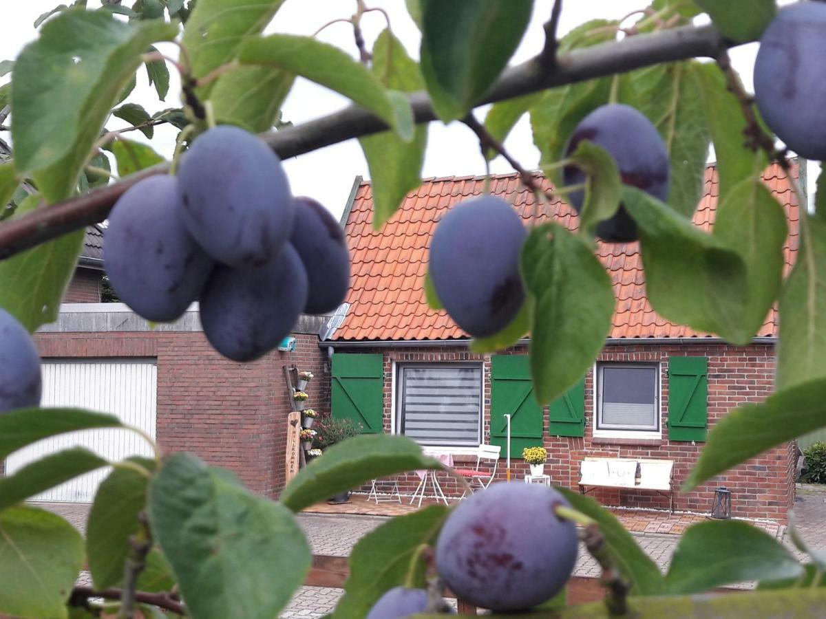 Gemuetliches Haeuschen Im Alten Land Jork Extérieur photo